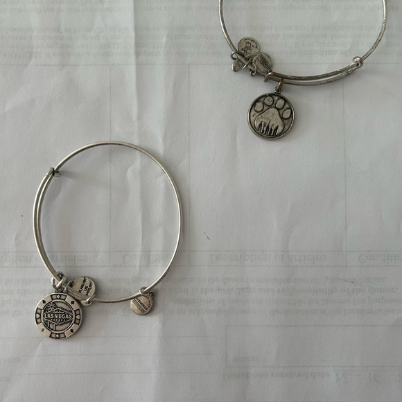 ALEX & ANI Bundle Silver Charm Bangle Bracelet Set w/ 8 Styles and Designs - Picture 3 of 9